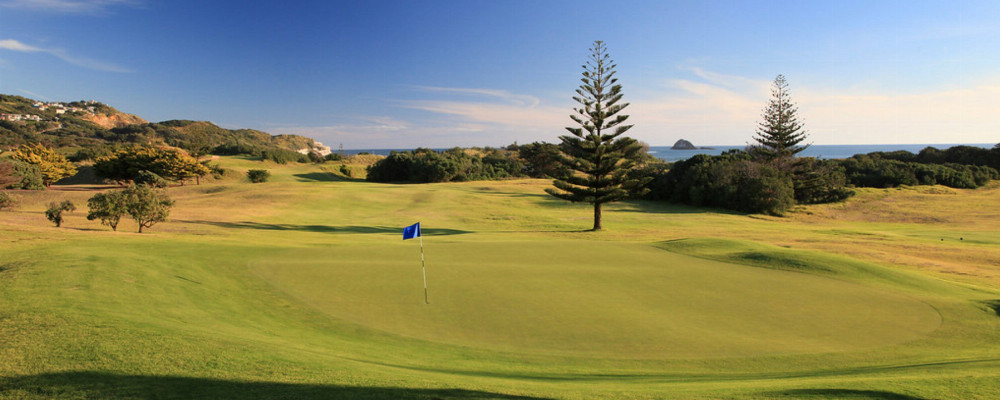 Muriwai Golf Club by Gary Lisbon