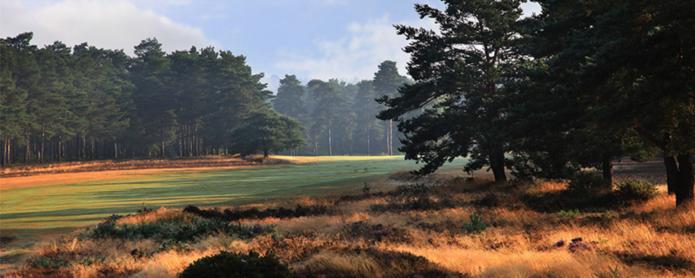 Hankley Common