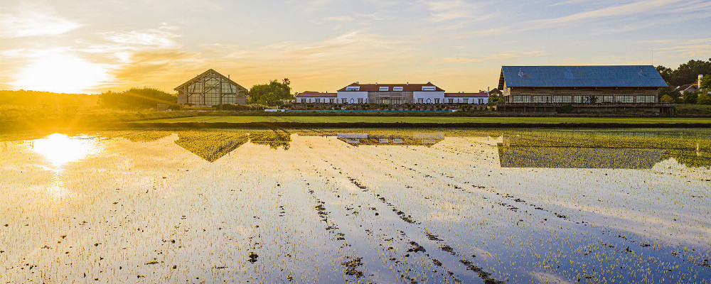 Quinta da Comporta