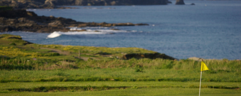 Trevose