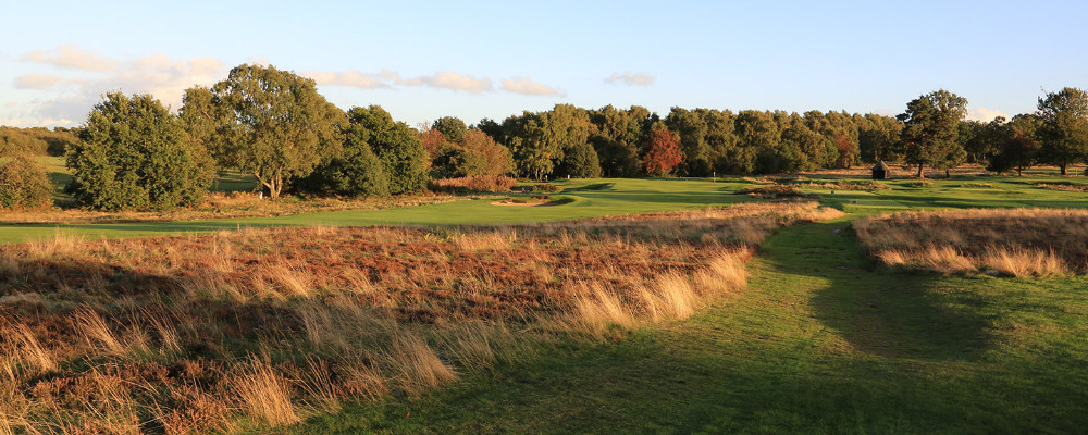 Walton Heath Old
