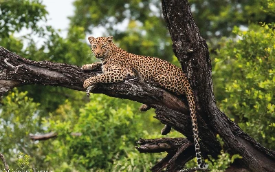 Africa Small Group Golf Tour Vacation Package with PerryGolf
