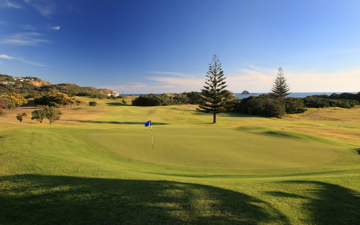 Muriwai Golf Club by Gary Lisbon